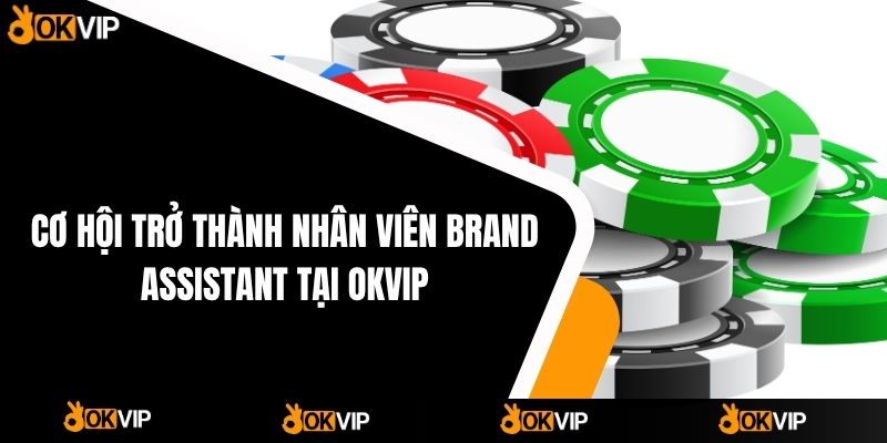 Tuyển Dụng OKVIP - Cơ Hội Việc Làm Hấp Dẫn - cimoje