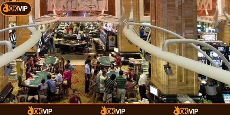 OKVIP Tuyển Dụng Nhân Viên Hậu Đài, Ứng Tuyển Ngay - OKVIP - cimoje